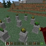 Ancient wonders
