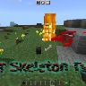 Wither Skeleton Tweaks