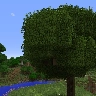 Better Foliage